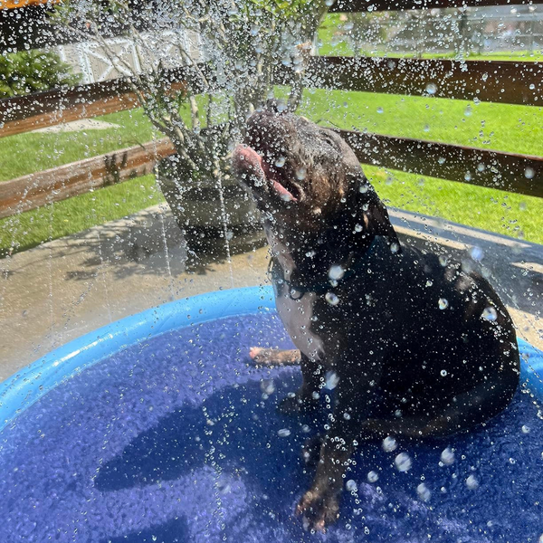 Splash Pad